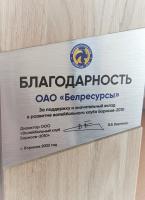 Благодарность за поддержку и значительный вклад в развитие волейбольного клуба